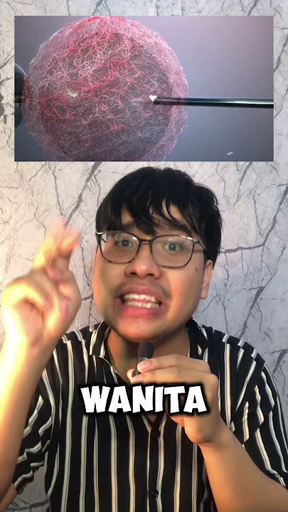Cara Bayi Tabung dibuat