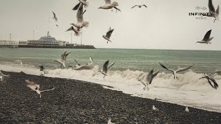 Bermudov - В Недрах Чувств