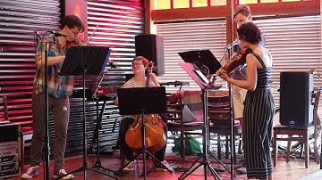 Abelvær | Gjermund Larsen