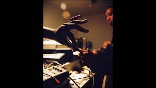 yet another 59 minutes of rare and unreleased madlib beats (vol. 8)