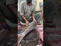 Amazing Deshi Rohu Fish Cating Video #viralvideo #viralshort #trending #trendingshorts #