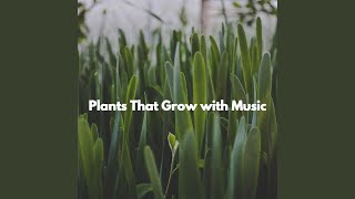 Tranquil Ambiance for Playing Flashbacks