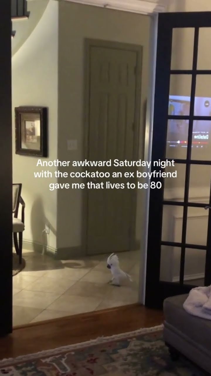Prvnci left her a bird and that Christian Dior like have a good life