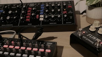 Model D and SQ1 ~ a solid combo