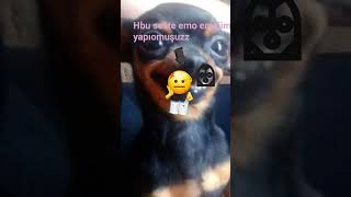 #viralvide #keşfetduası #keşfetbeniöneçıkar #kesfet #shortvideoviral #shortsvid #keşfetedüş #keşfet