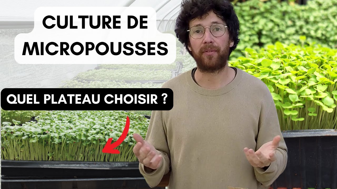Plateau hydroponique en plastique durable pour micro-pousses de blé 1020 Trays de semis pour la culture des plantes - Chine Plateaux de pépinière en plastique pour semis et plateaux plats et pour Plateau hydroponique en plastique durable pour micro-pousses de blé 1020 Trays de semis pour la culture des plantes - Chine Plateaux de pépinière en plastique pour semis et plateaux plats et pour