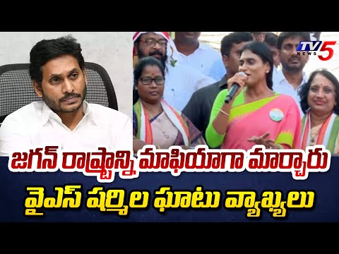 జగన్ రాష్ట్రాన్ని మాఫియాగా .! YS Sharmila FIRES on YS Jagan Mohan Reddy | Election Campaign | TV5 - TV5NEWS