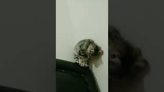 Hayat Denge Meselesidir.