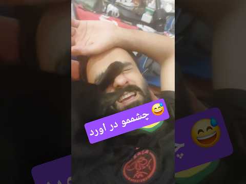 بهم بگفت دهنتو ببند گربه 