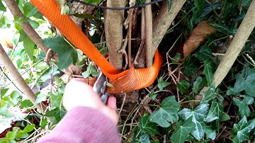 Remove hegdes using an engine hoist(2)