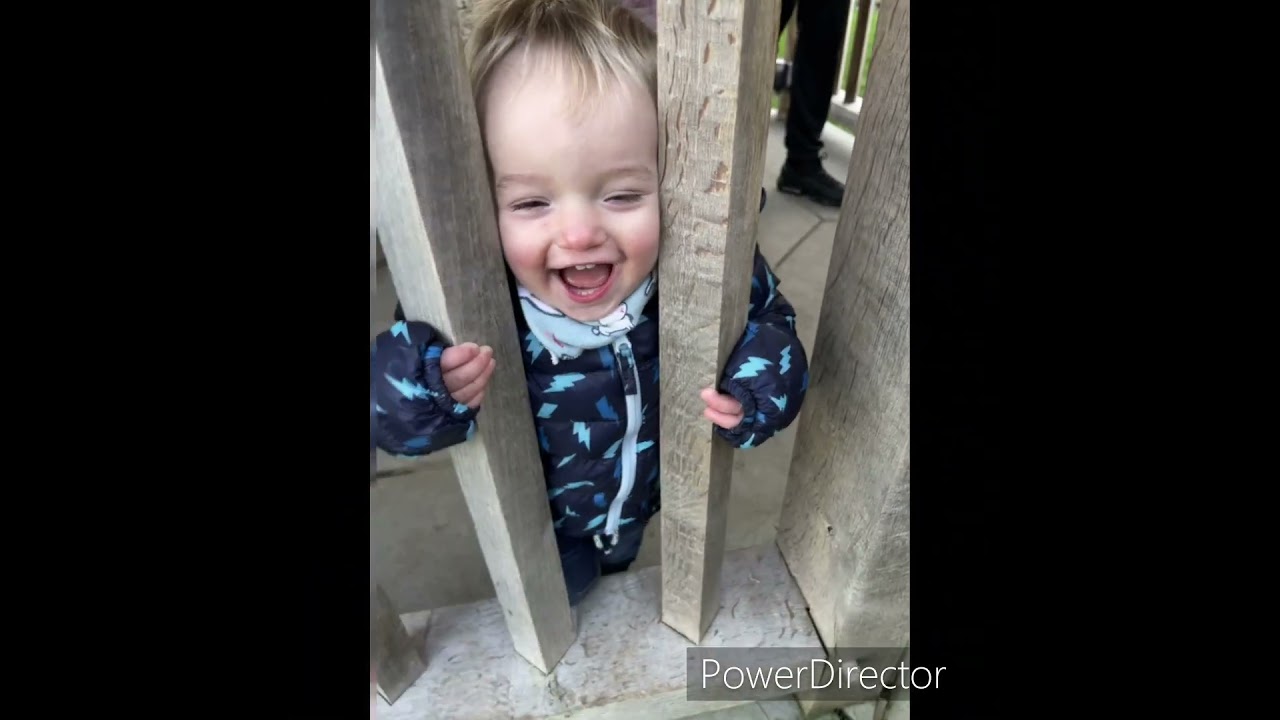 SUDC - Sudden Unexplained Death in Childhood