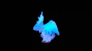 Parker And Patrick On Rollplay