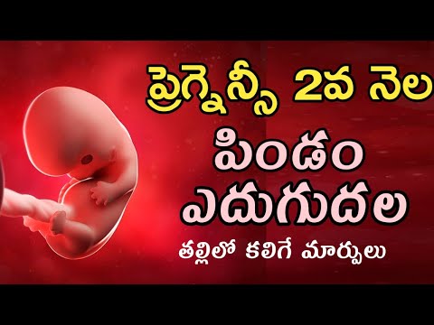 ప్రెగ్నన్సీ 2వ నెల | pregnancy 2nd month | baby growth | 1st trimester