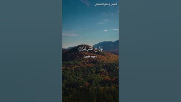 سورة الشرح القارئ ماهر المعيقلي