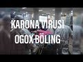 KARONA VIRUS HAQIDA OGOX BÖLING