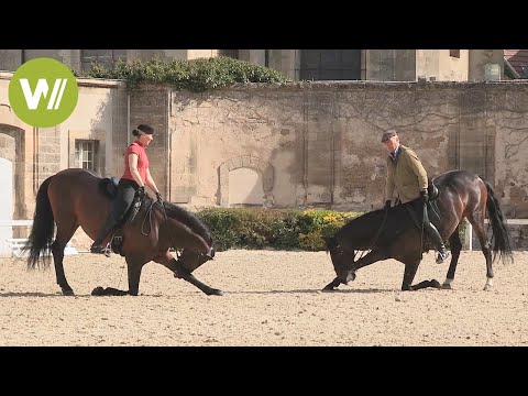 Vidéo: Les artistes de Seattle transforment leur écurie de cheval inutilisée en espace studio