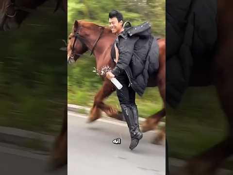 ركب الحصان بيد واحدة