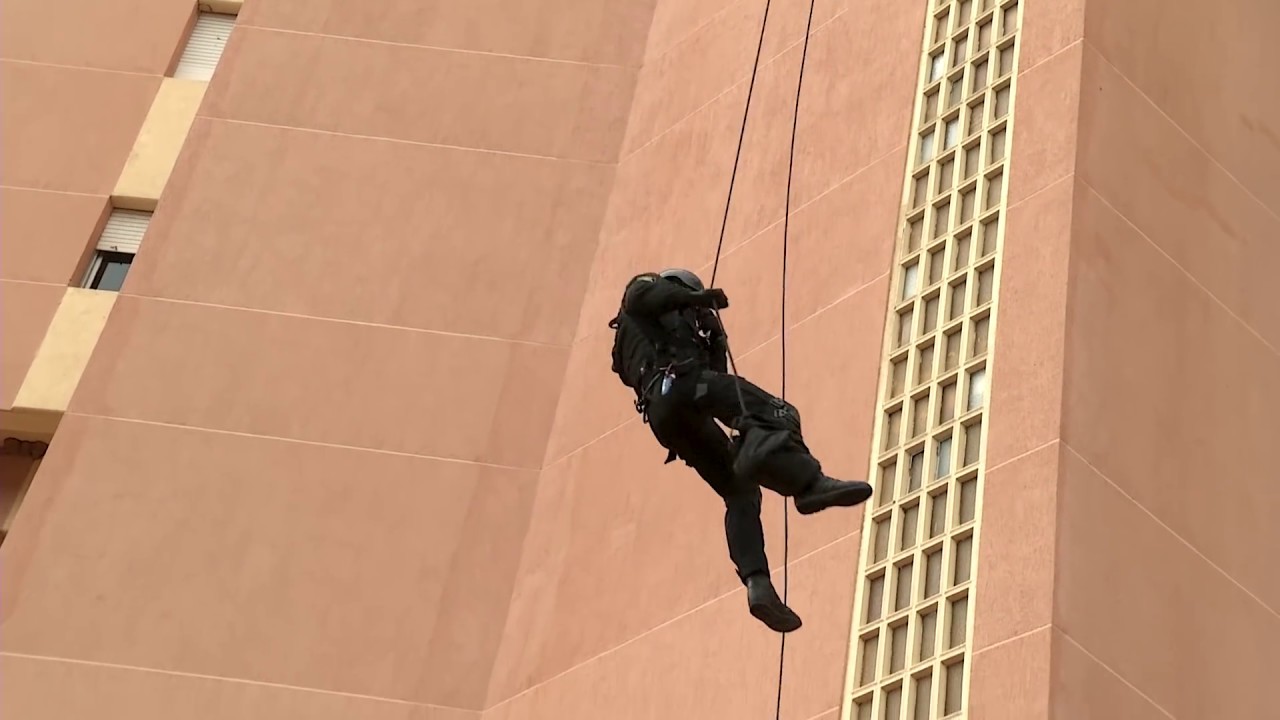 40 aniversario de los GEO. Visita del rey Felipe VI
