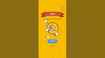 Brain find Level 23 walkthrough