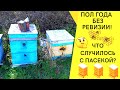 Пол года без ревизии! Что случилось с пасекой?