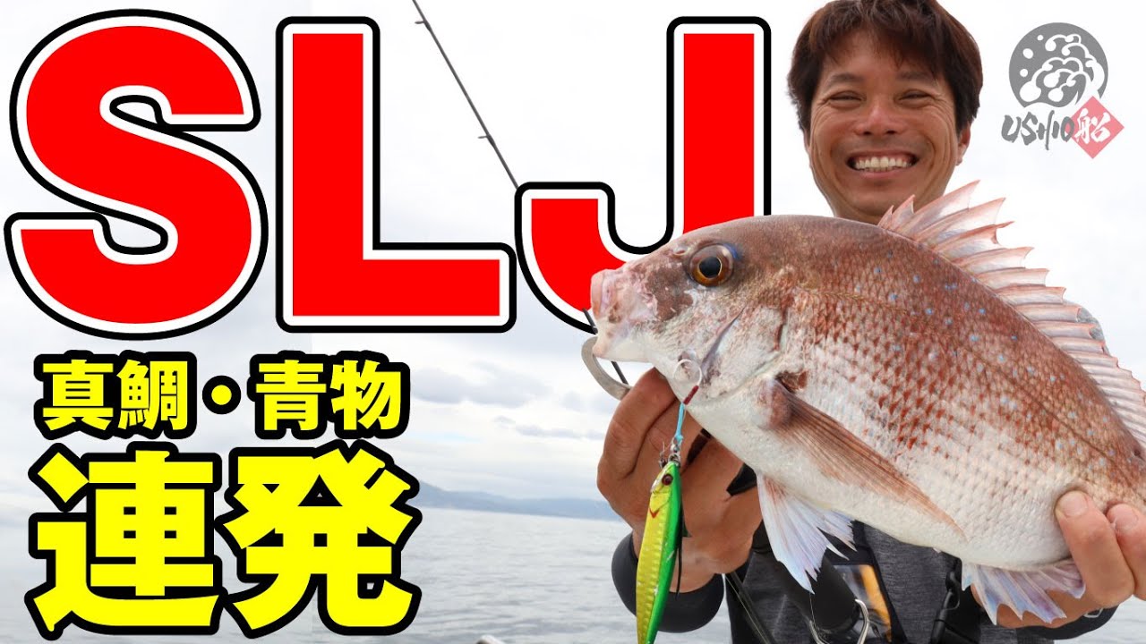Ushio スーパーライトジギングで真鯛 ハマチが連発 中島成典 Youtube
