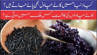 What Is Black Rice? Black Rice Nutrients Black Rice Benefits Countries Cultivating Black Rice