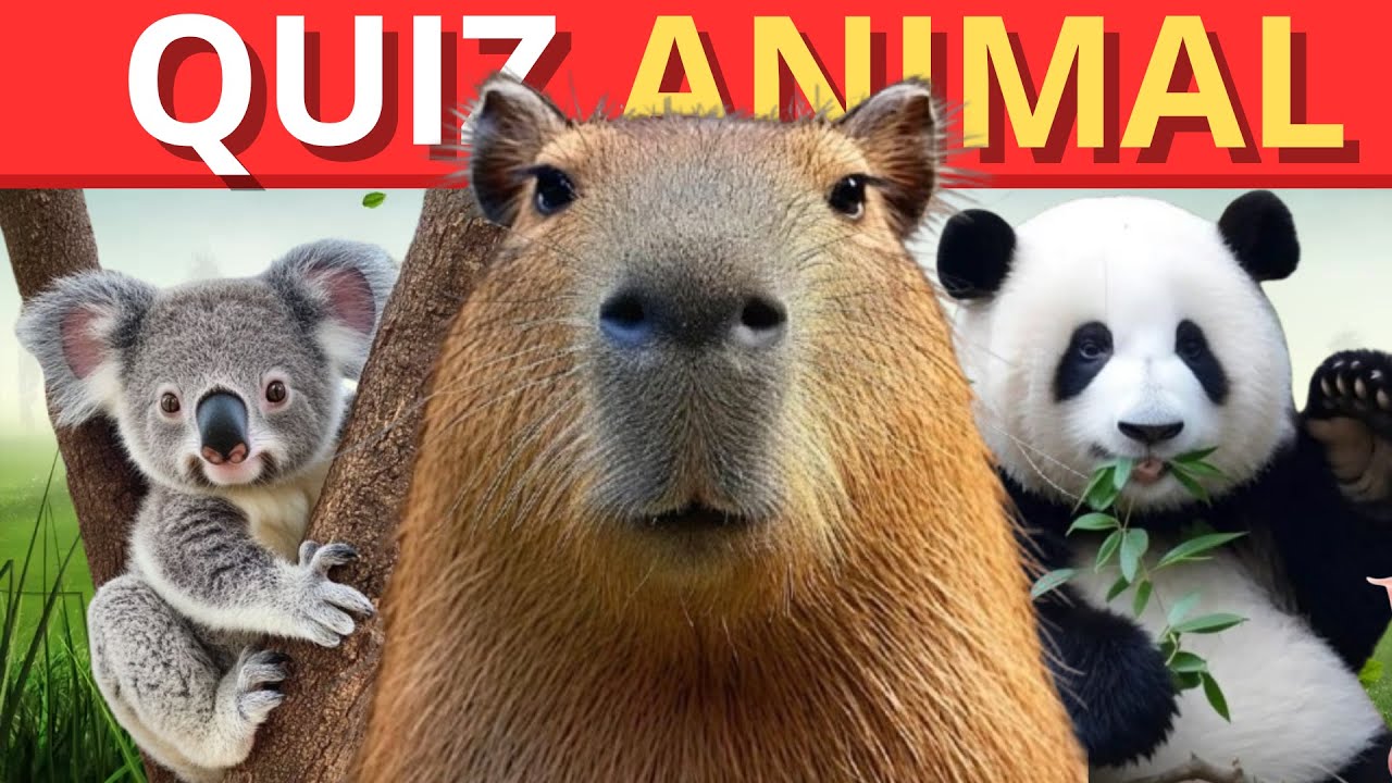 Quiz de Animales 🐶🐱 | ¿Cuántas podés acertar?