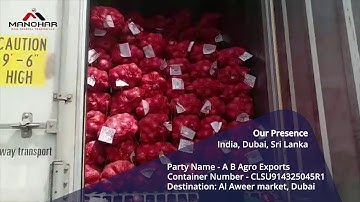 Container Unloading at Dubai - 04 | Red Onion Export From India | Manohar International