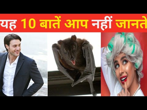 वीडियो: 10 बातें आपके वीट आपको जानना चाहता है