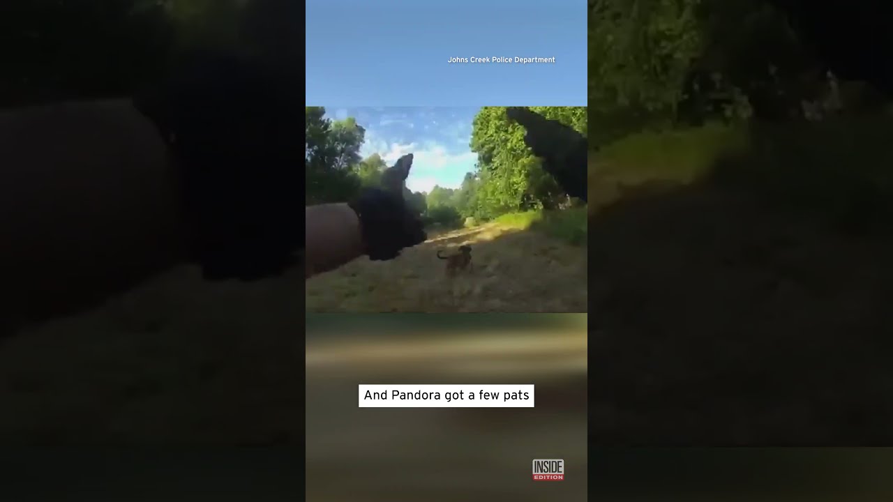 Police K 9 Finds Missing Woman In Under Half An Hour Shorts