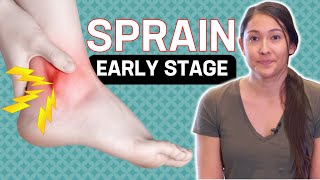 Exercises For Ankle Sprain Rehab (Early Stage) 