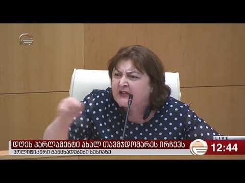 ადა მარშანიამ ჟურნალისტებს პროვოკატორები, ნაციონალებს კი ფაშისტები უწოდა