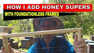 ☯️   HOW I ADD HONEY SUPERS WITH FOUNDATIONLESS FRAMES #naturalbeekeeping