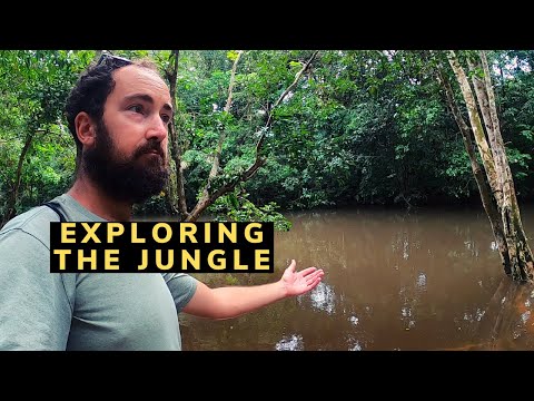 Colombia's Amazon jungle: Wandering around Leticia 🇨🇴