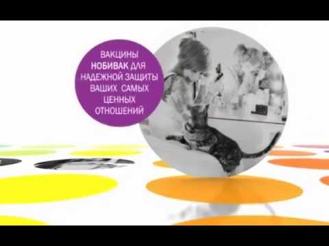 Nobivac. Вакцины для животных.