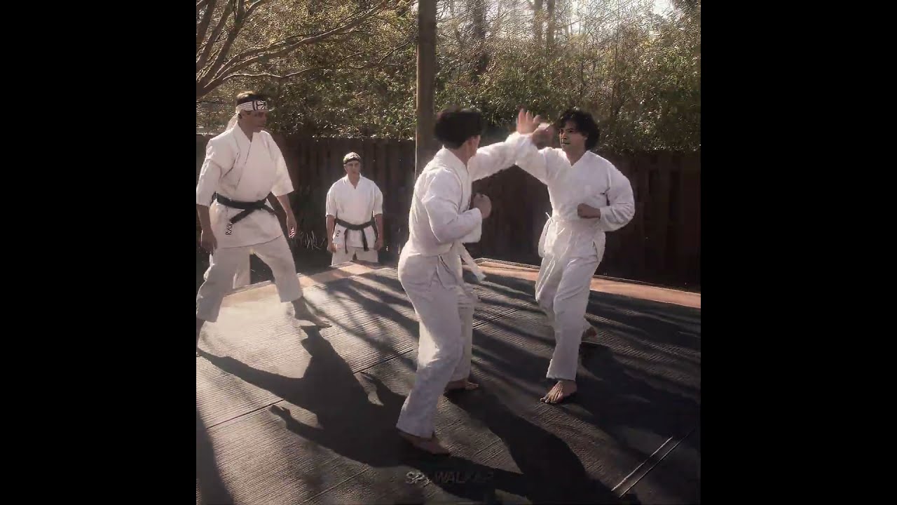 Miguel Made A Mistake There Otherwise He Would Have Won Cobrakai Cobrakaiseason6 Edit 4k