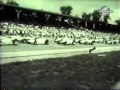 1960 Indianapolis 500 Film