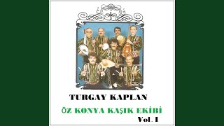 Kavaklar Asmalandı