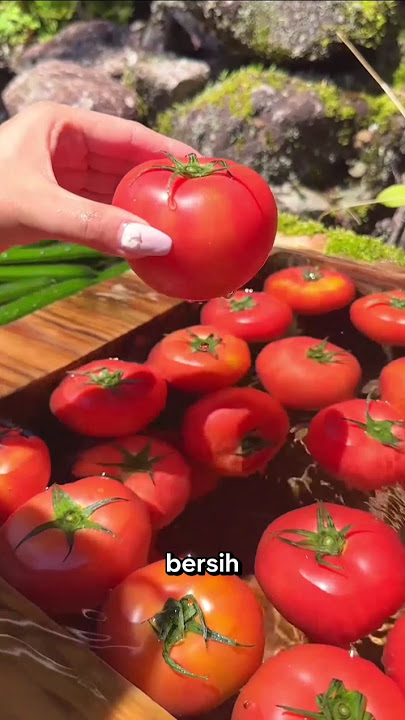 Beginilah kesegaran sayur yang alami