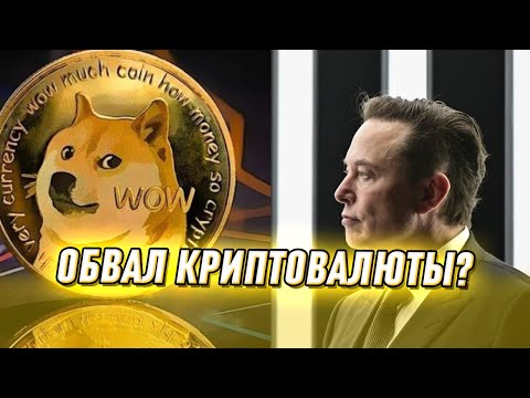 Dogecoin провалился! Рухнуло все: Маск не оправдал, люди в бешенстве - настоящий ужас!