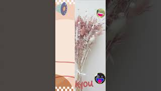 Producer Choose your Star new MOD version uses all features, get unlimited premium gift packages! # screenshot 5