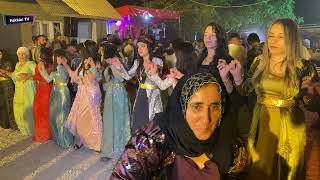 Hakkari Yöresel Kürt Düğünü Halay Govend Potpori 2022