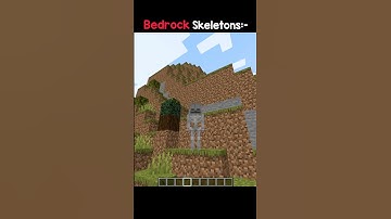 Java Skeleton 🤡 ᴠs Bugrock Skeleton 💀