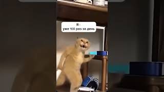 А Ты В Танцах? Полдержи Подпиской С Нами Весело, Вкусно И По Домашнему