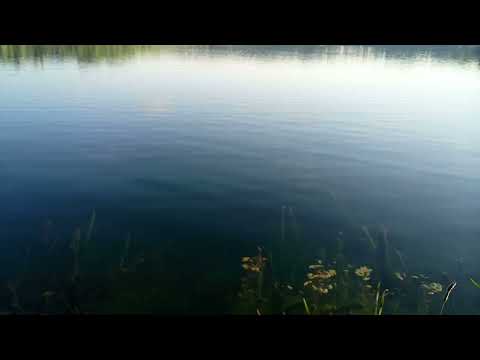 Карьер Спас-Каменка