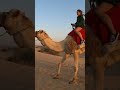 Camels In The Desert 🇦🇪 #dubai #desert #dubailife #top10 #desertsafari #dubailifestyle #camels