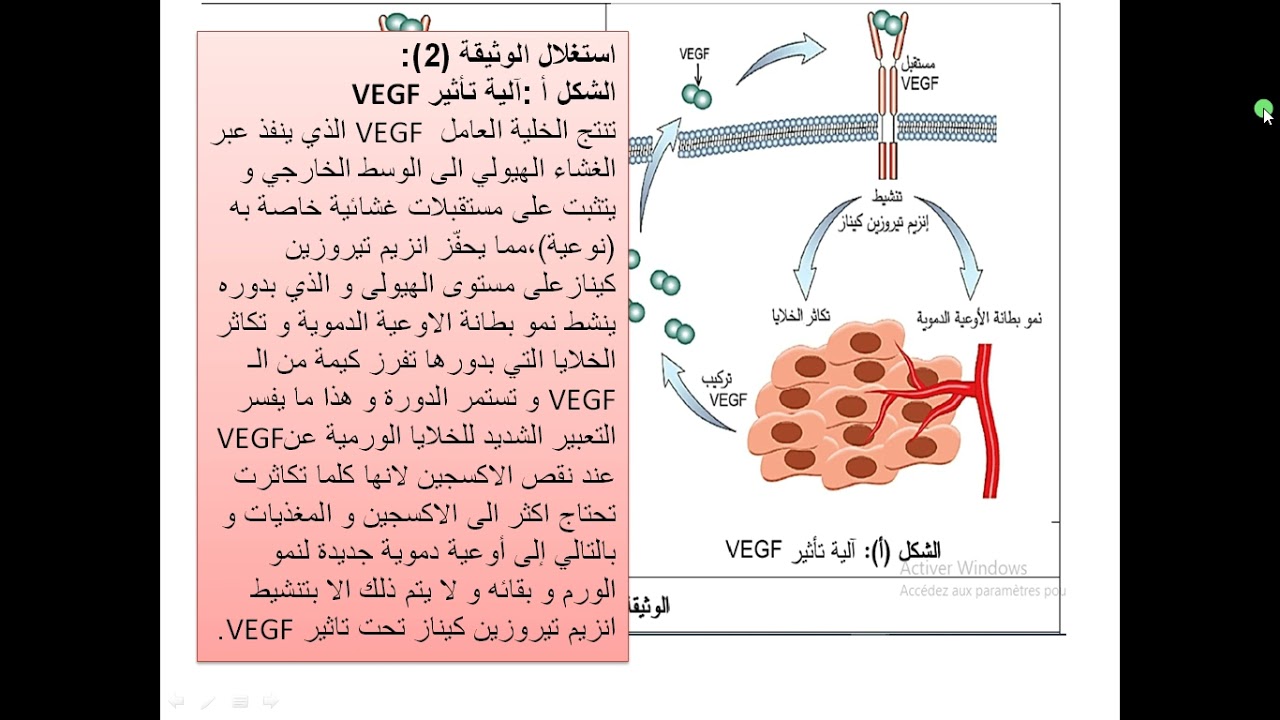 العرض التاسع حل الجزء الثاني و الثالث من تمرين متلازمة داون