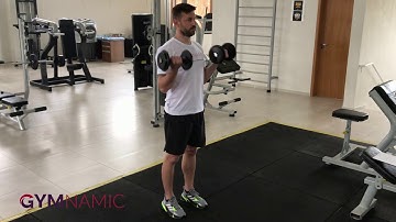 Rosca direta com halteres em pé