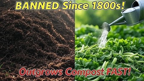 This BANNED 1800s Soil Trick Grows Faster Than Compost