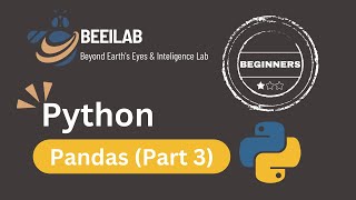 Python Tutorial for Beginners: Pandas Library Tutorial in Python for Beginners Pandas Full Course by BEEiLab 199 views 3 months ago 4 minutes, 39 seconds